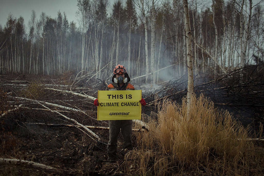 Boreal Wildfire Aftermath in Russia. © Denis Sinyakov / Greenpeace