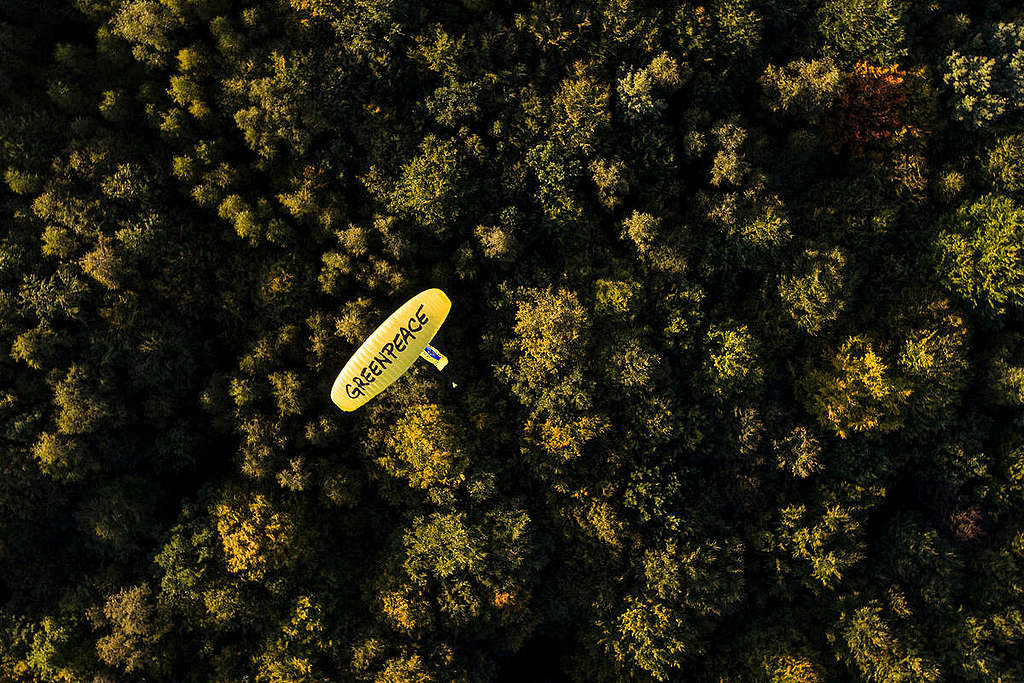 Protest with Paraglider at Dannenroeder Forest. © Greenpeace