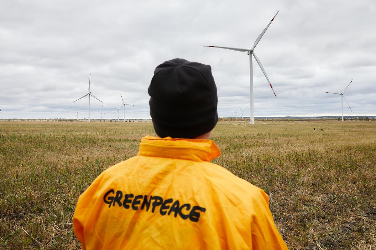 Wind Park in Ulyanovsk, Russia. © Greenpeace / Zamyslov Slava