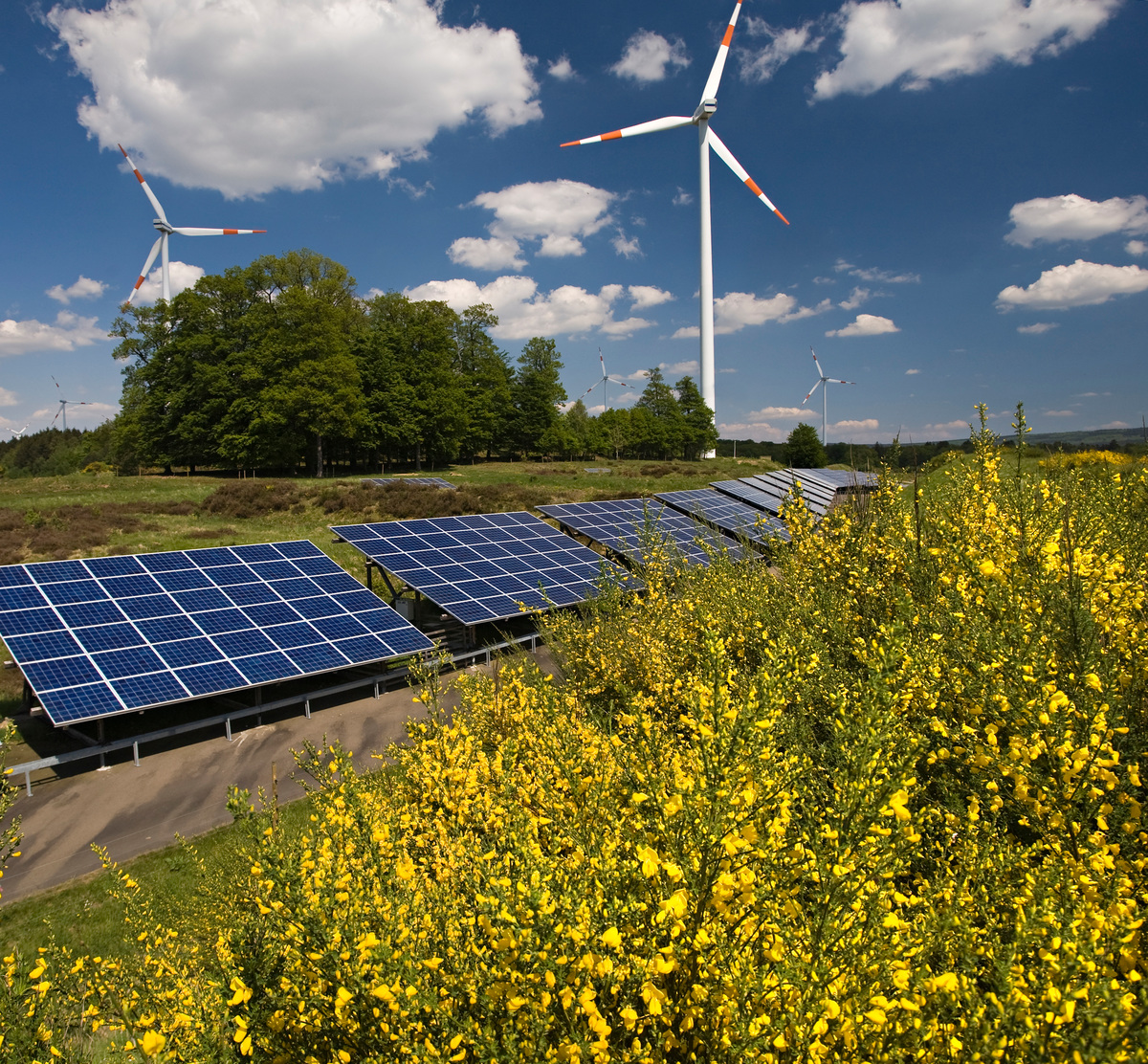Renewable Energy Farm in Germany. © Paul Langrock / Zenit / Greenpeace
