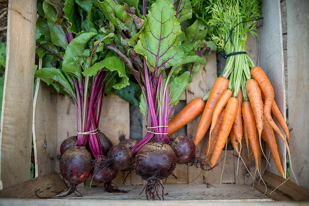 Organic Vegetables in France. © Emile Loreaux / Greenpeace