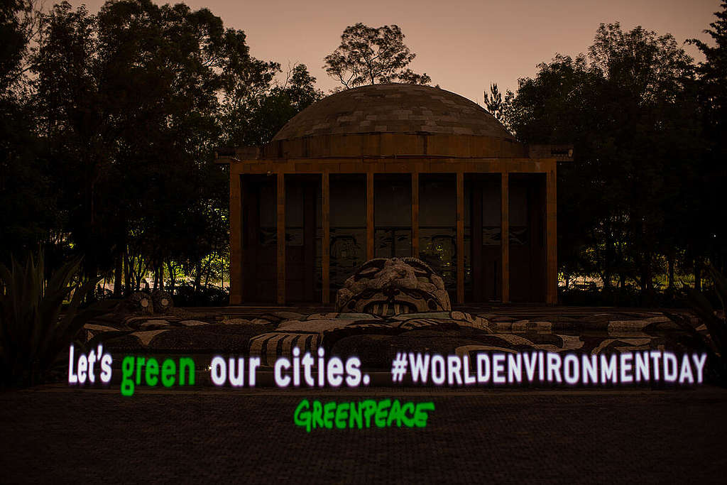 Activists "Shed Light" for Aspiring Public Positions to Restore Cities in Mexico. © Greenpeace / Gustavo Graf