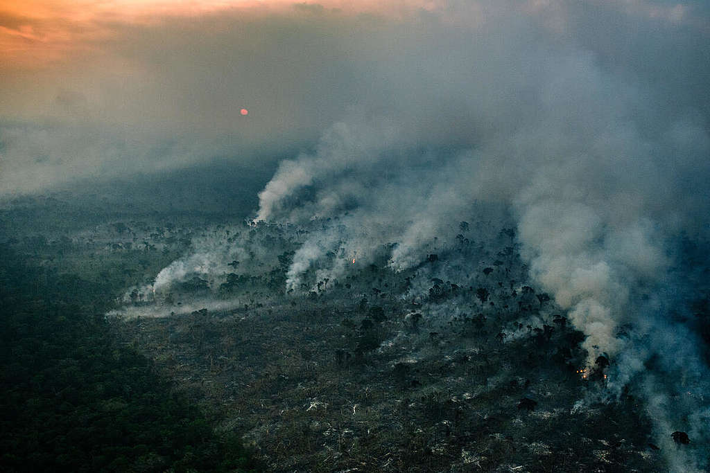 Fire and Deforestation Monitoring near the Manicoré River in the Amazon in Brazil.