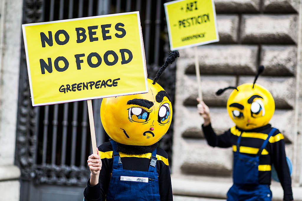 Bees Action at Agriculture Ministry in Rome. © Francesco Alesi / Greenpeace