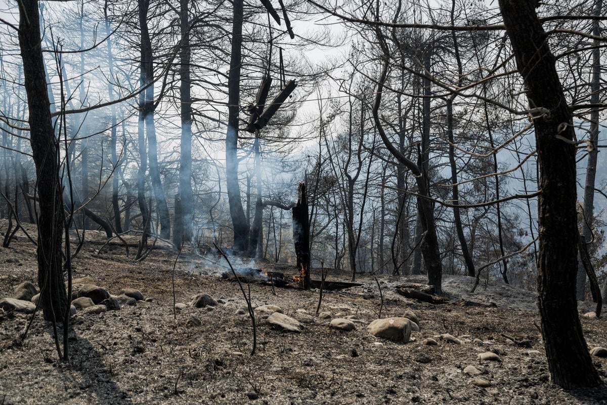 Wildfires in Northern Evia, Greece. © Constantinos Stathias / Greenpeace