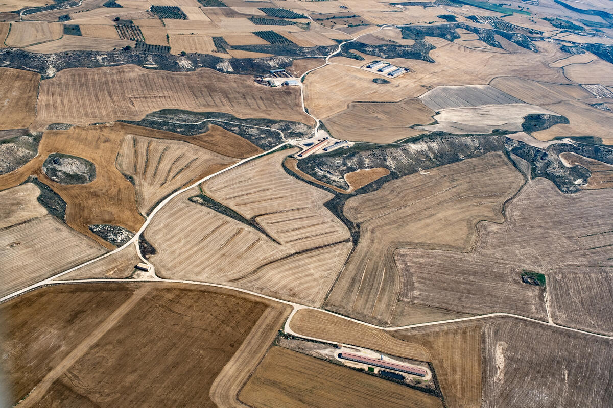 Dry Land in Spain. © Greenpeace / Pedro Armestre