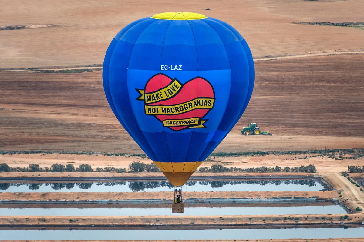 'Make Love not Macrofarms" Balloon Action in Spain. © Mario Gomez / Greenpeace