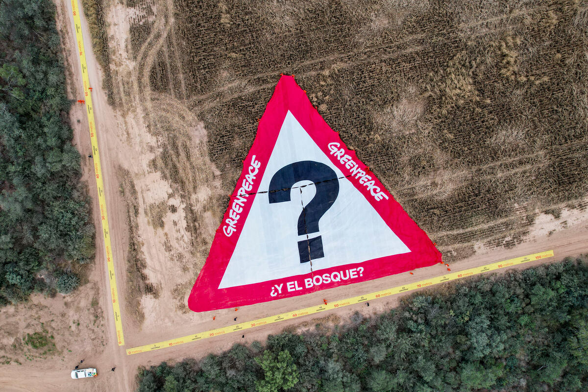 Protest Banner in the Largest Illegal Clearing of Argentina. © Martin Katz / Greenpeace