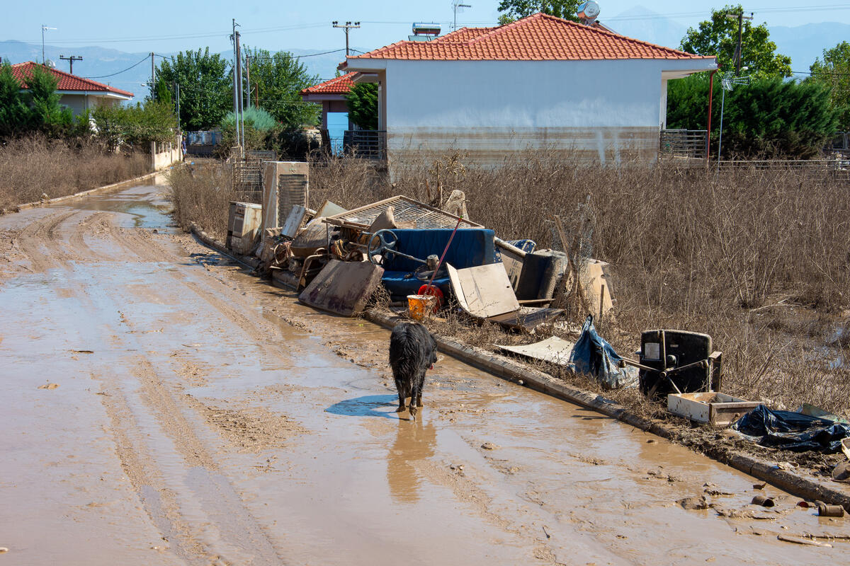 Storm Daniel Floods Relief in Larissa, Thessaly, Greece. © Nicoletta Zarifi / Greenpeace