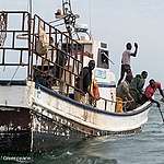【西非希望之旅】 被丟回海中的魚