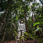 5個救火的印尼青少年：守護雨林！