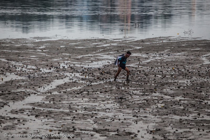 A boy walks on the drained sea as it is contaminated by oil in Kariangau village, Balikpapan Bay, East Kalimantan. An oil spill off Balikpapan bay in Borneo island that led to five deaths and the declaration of a state of emergency was caused by a burst of undersea pipe belongs to Indonesia's state oil company Pertamina