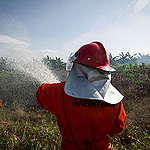 印尼雨林的滅火雄心