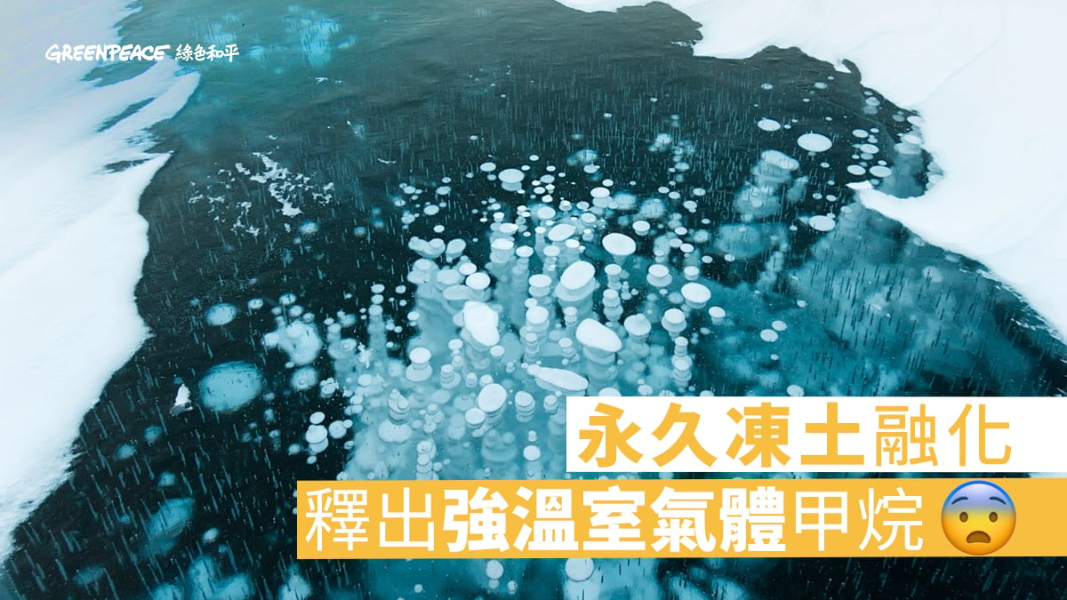 永久凍土融化西伯利亞海水出現甲烷地獄 Greenpeace 綠色和平 香港