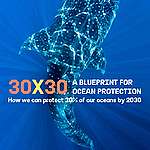 《30x30海洋保護藍圖》報告