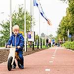 有乜新路「塑」？越南、荷蘭用塑膠廢料建道路