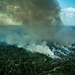 亞馬遜森林大火 巴西政府的10宗罪