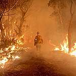 澳洲山火，3件我們可以做的事（12/2020更新數據）