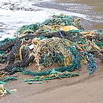 《幽靈漁具：纏繞海洋的廢棄漁網》報告