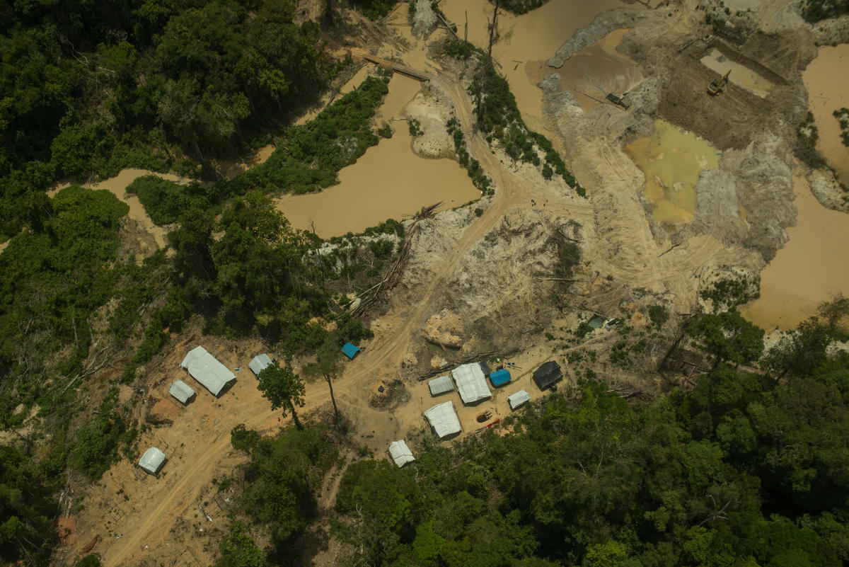 非法採礦吞噬巴西原住民Munduruku族的森林和土地，2019年9月拍攝的檔案畫面。© Christian Braga / Greenpeace