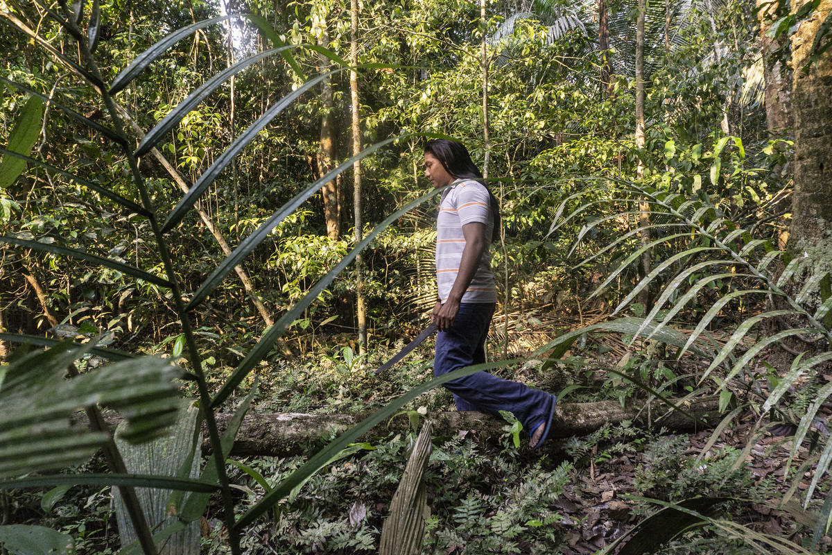 守護森林在亞馬遜是場戰役，不要讓亞馬遜原住民孤單上路。（André Karipuna, Cacique 是 Karipuna people族人的首領。）© Rogério Assis / Greenpeace