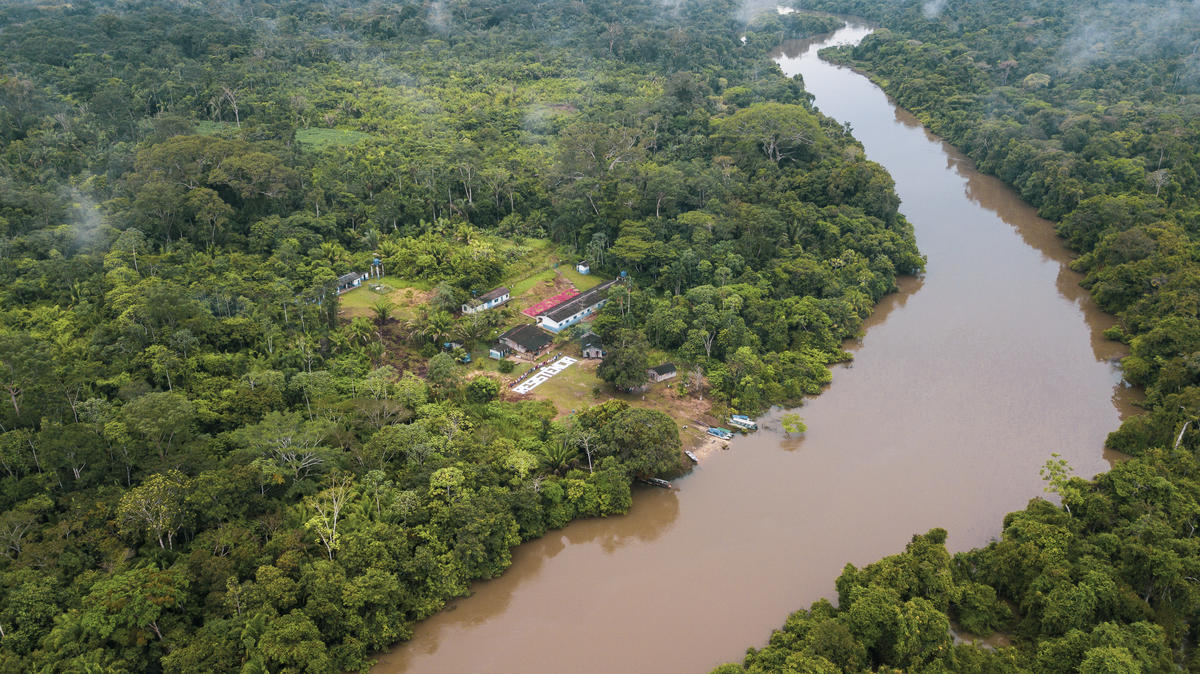 位於西北部亞馬遜森林區，Karipuna原住民地區的Panorama村落。© Fernanda Ligabue / Greenpeace