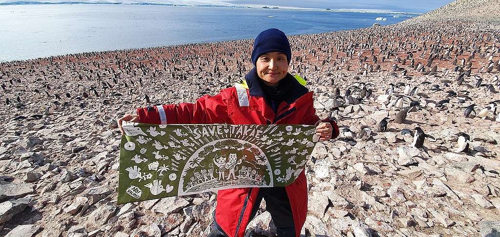 Save Takae：小豚把「拯救高江」的訊息帶到南極，鼓勵所有行動者不要放棄發聲。 © Ryu Han Bum / Greenpeace