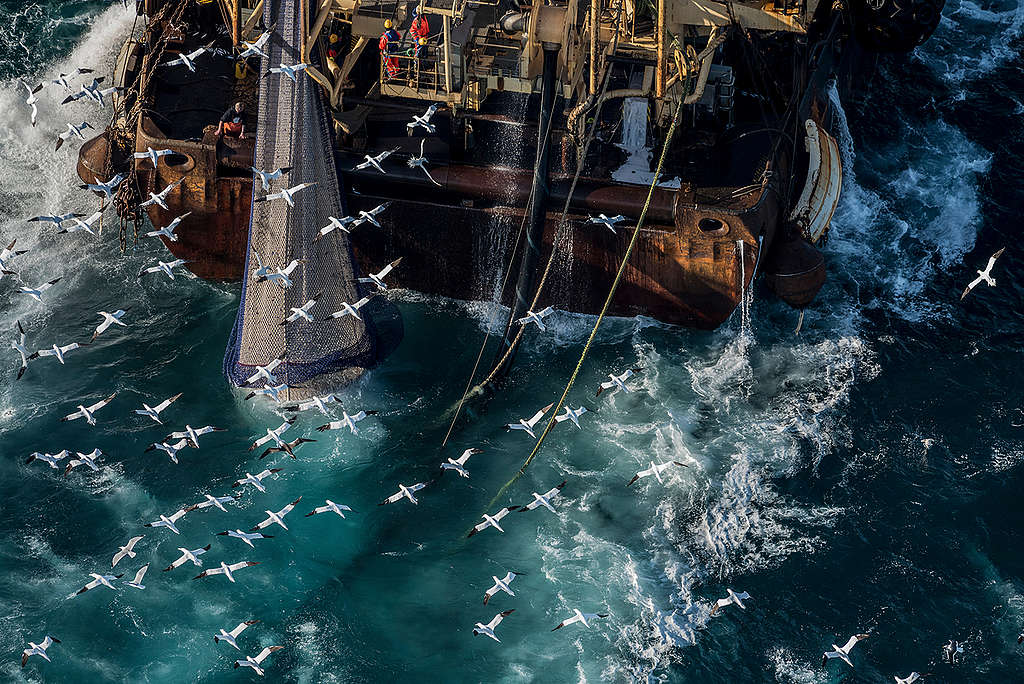 英吉利海峽的工業捕撈。 © Christian Åslund / Greenpeace