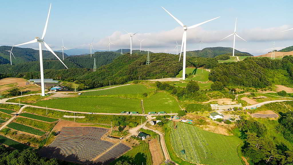 位於慶尚北道英陽郡的韓國第三大風電廠，預計一年可製造 134 吉瓦時 (GWh) 的電力。 © Greenpeace