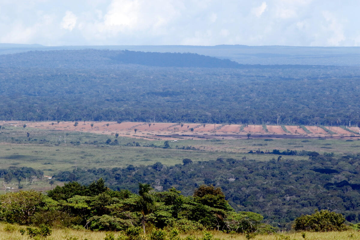Ricardo Franco州立公園一景，可見當中大幅被清空的土地。 © Ednilson Aguiar