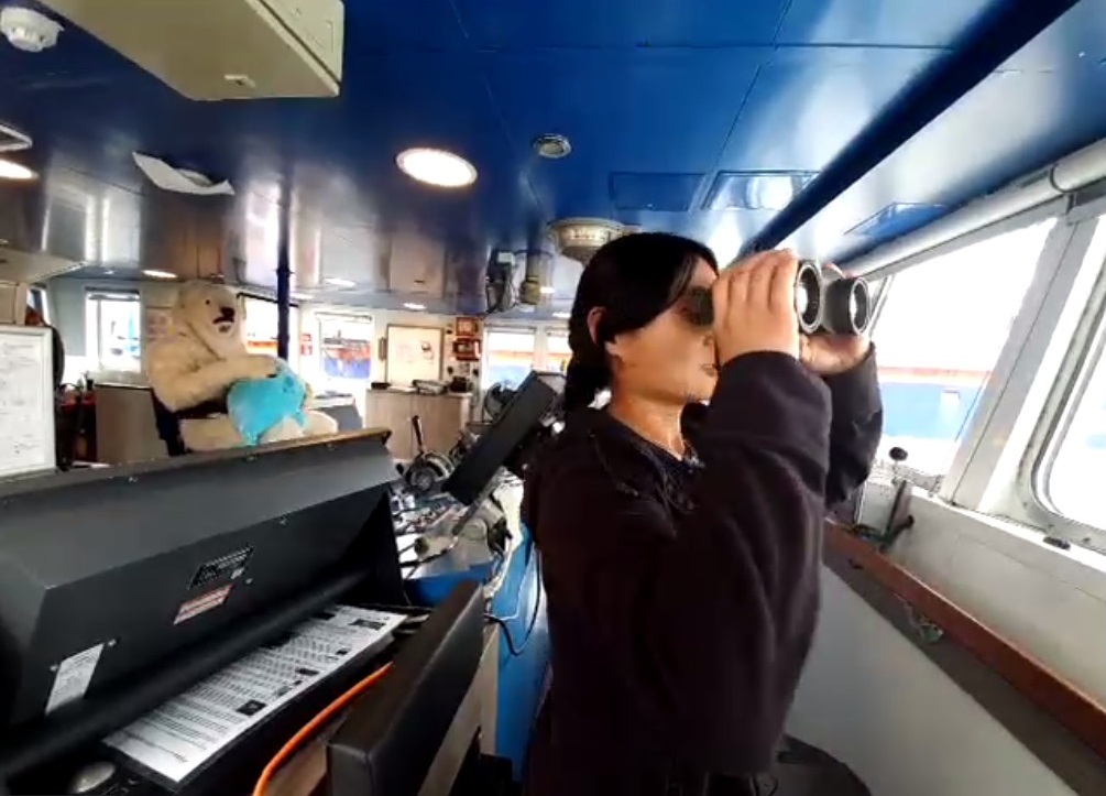 小豚拿起望遠鏡，示範船員如何輪流擔任瞭望員（watchkeeper）眼觀四周，避免與海上其他船隻碰撞。 © Greenpeace