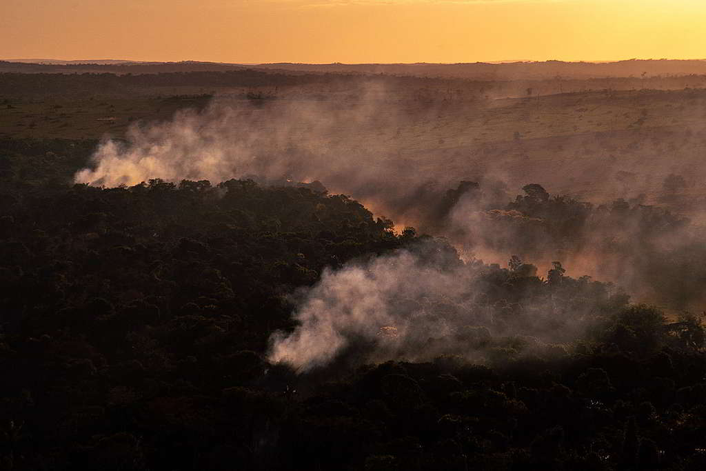 綠色和平於2020年7月從毀林重災區馬托格羅索州（Mato Grosso）上空，實地記錄亞馬遜大火最新災情。 © Christian Braga / Greenpeace