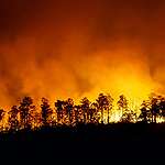 6月大火創新高 巴西亞馬遜森林火警比去年大增19.5%
