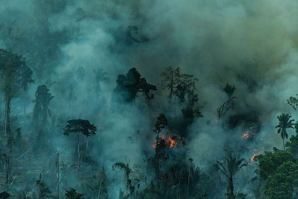 2019年9月，綠色和平調查團隊前往亞馬遜大火現場，實地紀錄災情。© Fábio Nascimento / Greenpeace