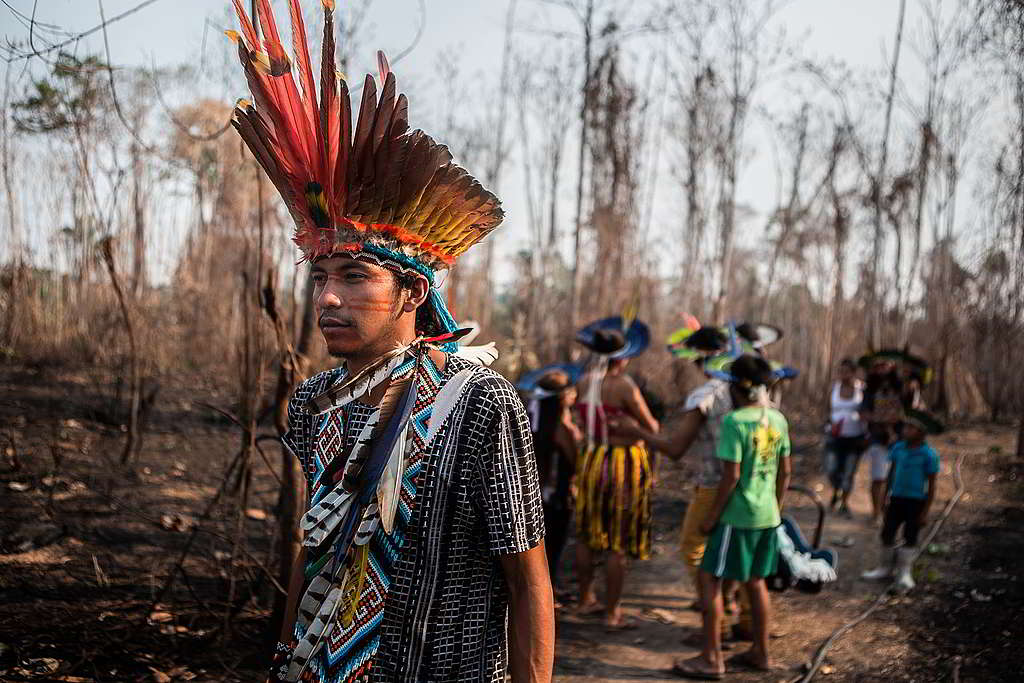 侵佔土地、焚燒森林加上病毒傳播，令巴西亞馬遜原住民面臨重重生存威脅。 © David Tesinsky / Greenpeace