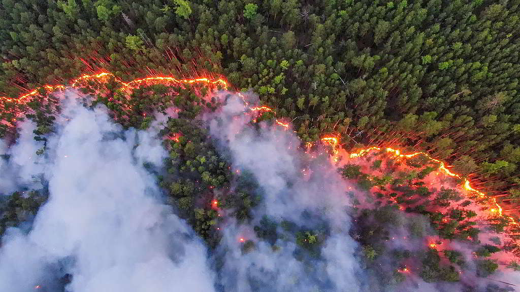 綠色和平俄羅斯辦公室7月底航拍西伯利亞中部克拉斯諾亞爾斯克地區（Krasnoyarsky）的火災實況，促請當局投放更多資源遏止火勢。