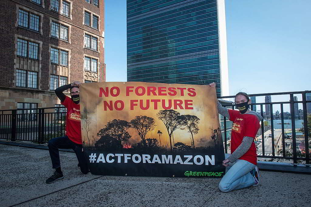 巴西總統博索納羅於聯合國大會發言期間，綠色和平美國辦公室行動者在會場外拉起「沒有森林就沒有未來」橫額，促請立即採取行動遏止亞馬遜大火。 © Tracie Williams / Greenpeace