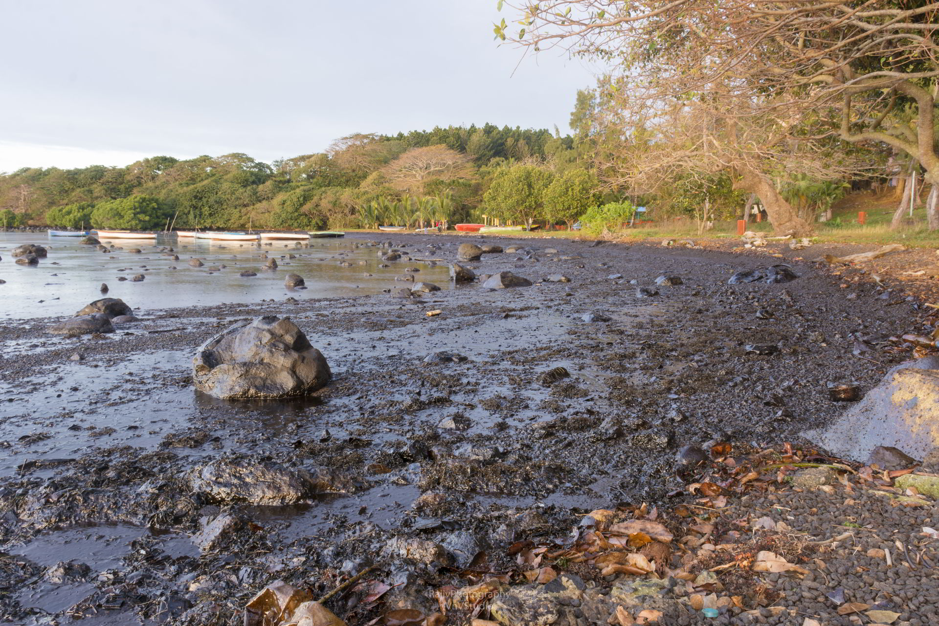 鄰近海岸猶如蓋上一層油污「黏膜」，嚴重影響當地民眾的生活與生計。© Rajiv Groochurn / Greenpeace