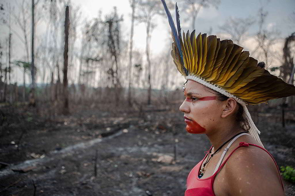 巴西阿克里州一名胡利古因（Huni Kuin）族人，正檢視家園旁森林被破壞的情況。 © David Tesinsky / Greenpeace
