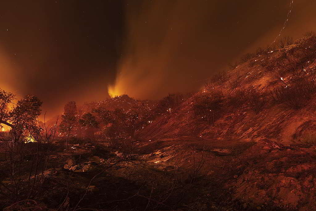 8月的松林峽谷（Pine Canyon）野火蔓延速度之快，短短數小時就已波及過萬英畝土地。 © David McNew / Greenpeace