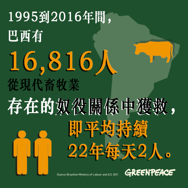 1995到2016年間，巴西有16,816人從現代畜牧業存在的奴役關係中獲救，即平均持續22年每天2人。很多以工業化畜牧業支撐經濟的國家或地區，尤其是發展中的地區，行業生產線往往涉及侵犯勞工權益問題。© Greenpeace