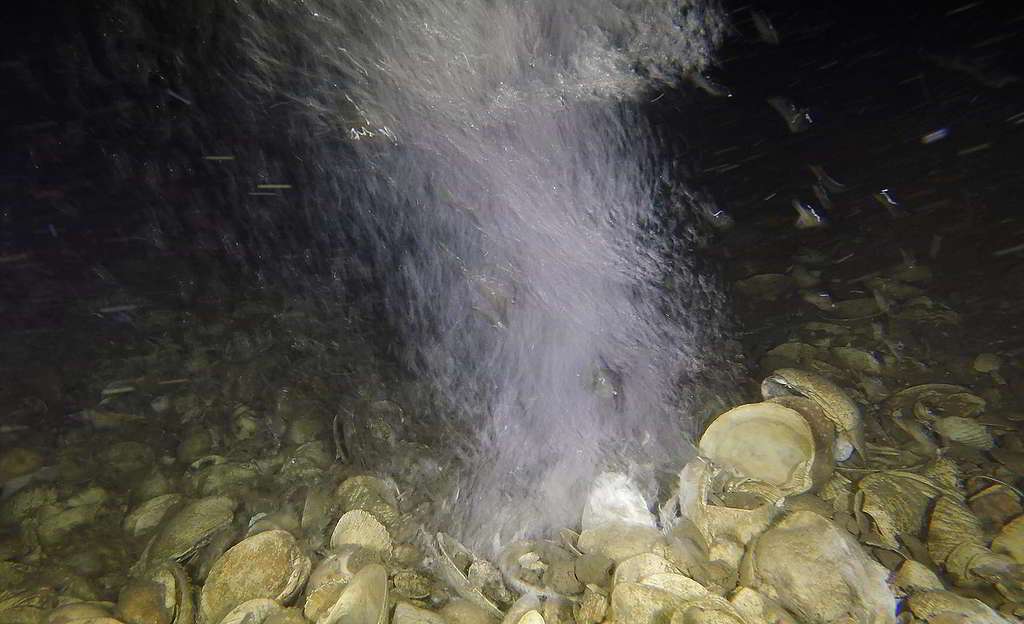 從水底影像可見，甲烷持續從海床坑洞湧出，加劇溫室效應。 © Greenpeace