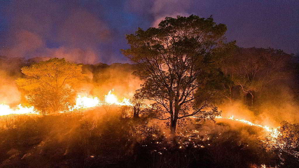 潘塔納爾濕地的火勢自7月中加劇，爆發生態災難。 © Iberê Périssé / Projeto Solos