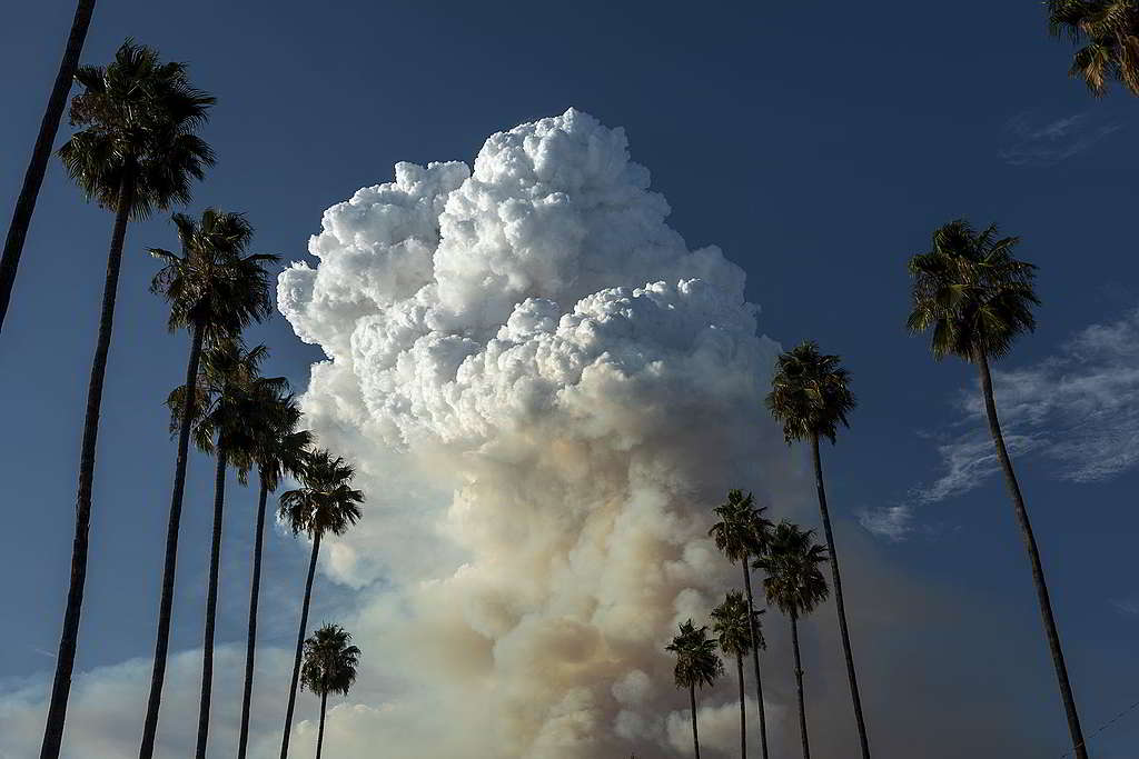 當局一般以起火源頭命名波及不同範圍的火災，例如今年8月肆虐的Ranch 2 Fire就是與牧場有關，更形成巨大火積雲（pyrocumulus cloud）。 © David McNew / Greenpeace