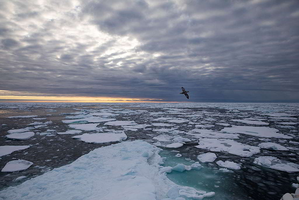 這張「北極風情畫」攝於9月15日，正正是今年錄得海冰最小值的一天。 © Daniella Zalcman / Greenpeace