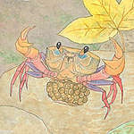 【動物傳心師】香港的溪蟹 © 呂朗婷