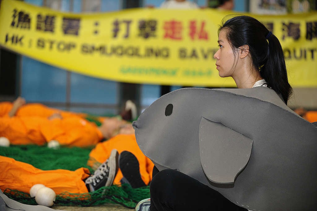 綠色和平香港辦公室促請當局加強打擊走私石首魚交易，拯救墨西哥極瀕危加灣鼠海豚。 © Clement Tang Wai Kin / Greenpeace