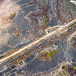 2020年綠色和平巴西辦公室親訪潘塔納爾濕地，見證災情，並為當地組織提供支援。這俯瞰照片顯示濕地變成焦土。© Leandro Cagiano / Greenpeace