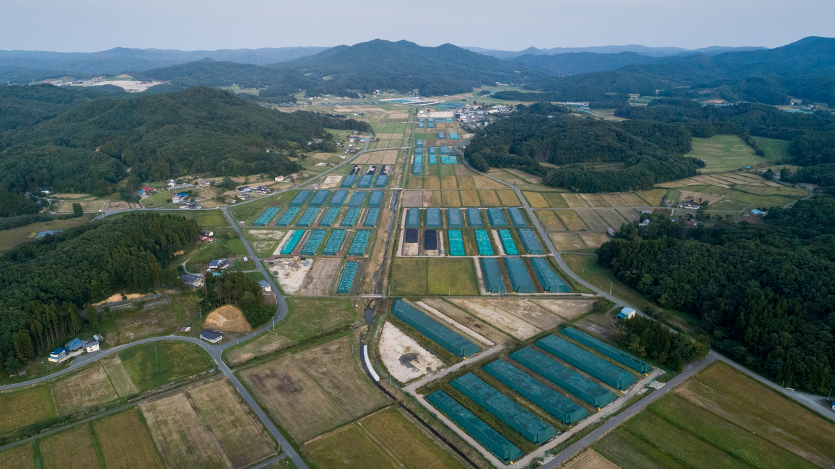 高空俯瞰一個個藍色方塊，其實是當局難以處理、唯有暫存於荒廢農田的核廢料。 © Christian Åslund / Greenpeace