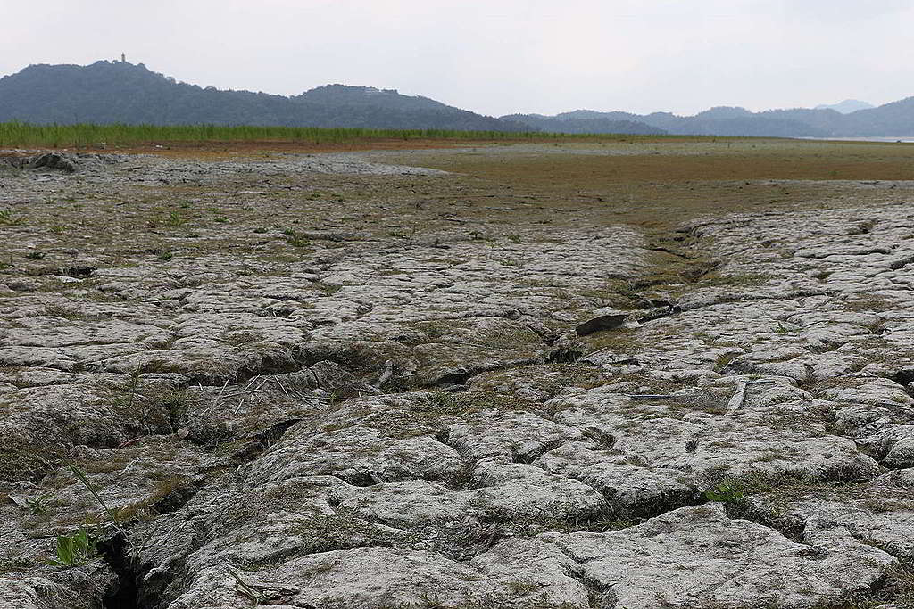 今年3月，日月潭因缺水露出的龜裂土地，長出零星雜草，成為「日月潭大草原」。 © Cynthia Chen / Greenpeace